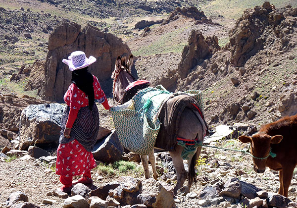 voyages rencontres berberes